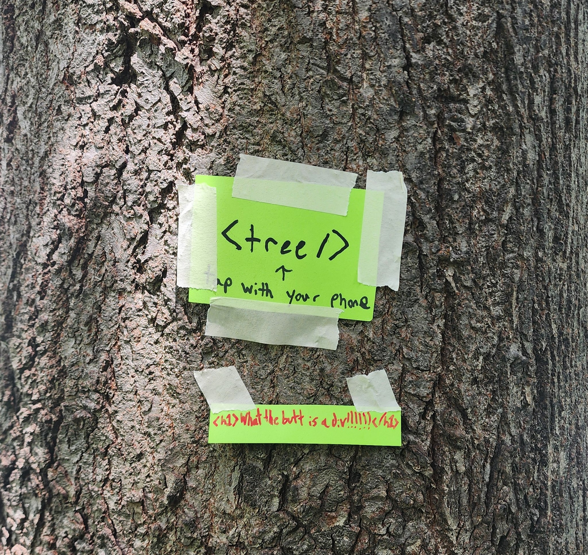 A tree with
        paper taped to it asking onlookers to tap their phones. Beneath, another piece of paper asking what a div is.